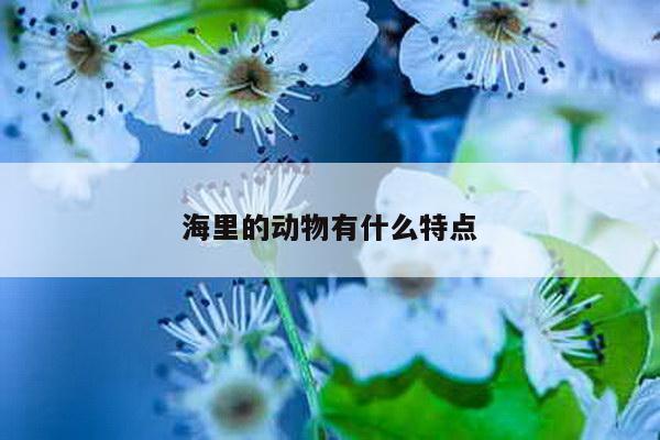 海里的动物有什么特点