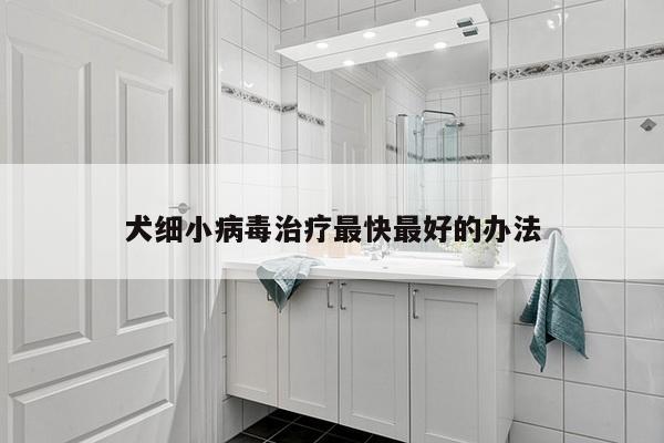 犬细小病毒治疗最快最好的办法