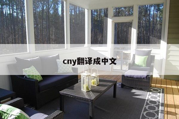 cny翻译成中文