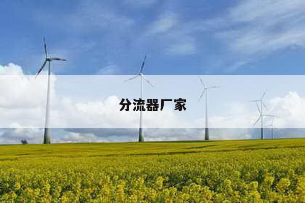 分流器厂家