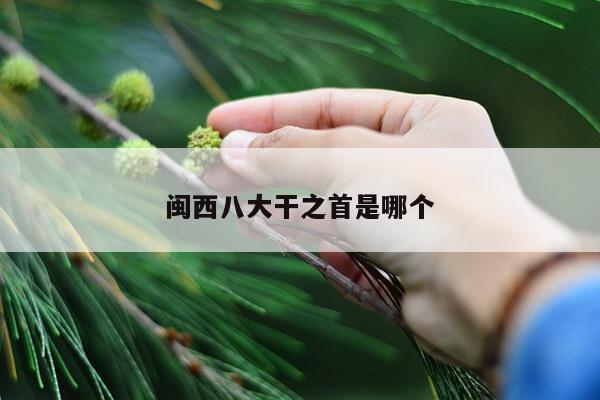 闽西八大干之首是哪个