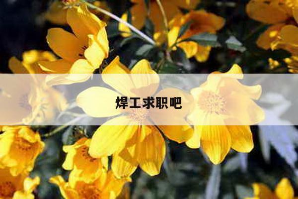 焊工求职吧