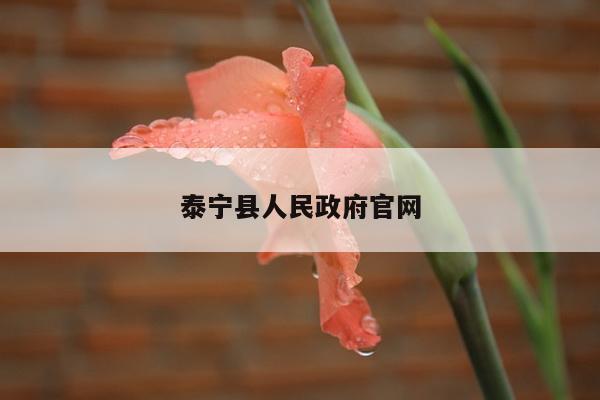 泰宁县人民政府官网