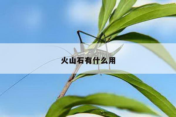 火山石有什么用
