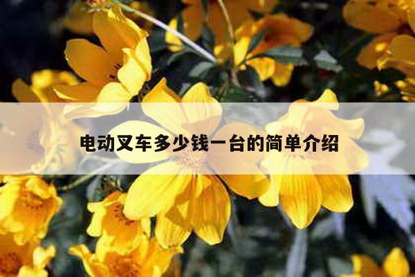 电动叉车多少钱一台的简单介绍