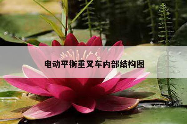 电动平衡重叉车内部结构图