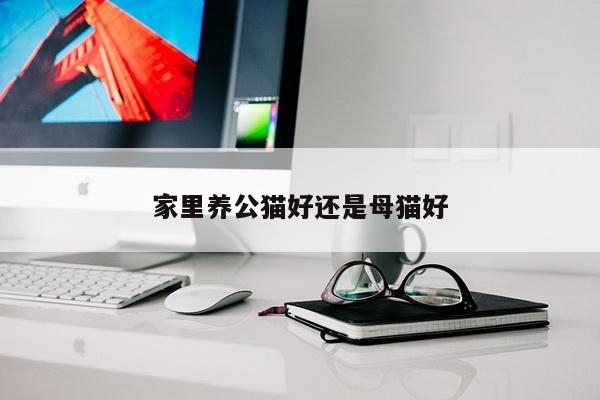 家里养公猫好还是母猫好