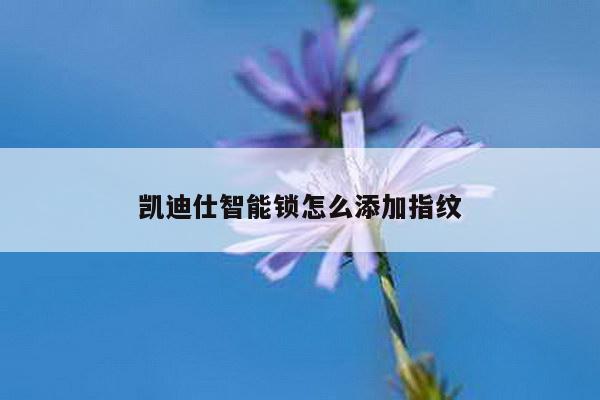 凯迪仕智能锁怎么添加指纹