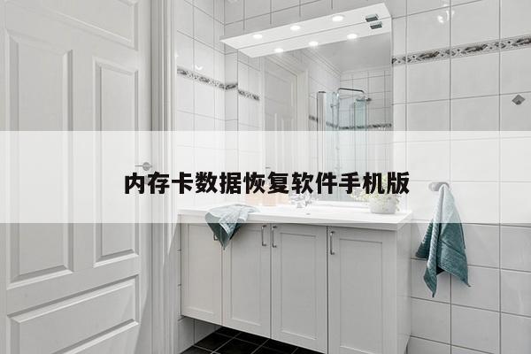 内存卡数据恢复软件手机版