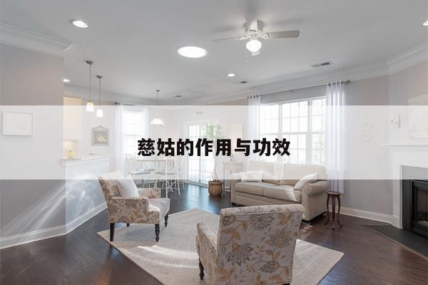 慈姑的作用与功效