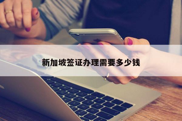 新加坡签证办理需要多少钱