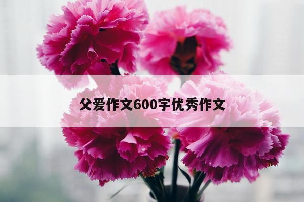 父爱作文600字优秀作文