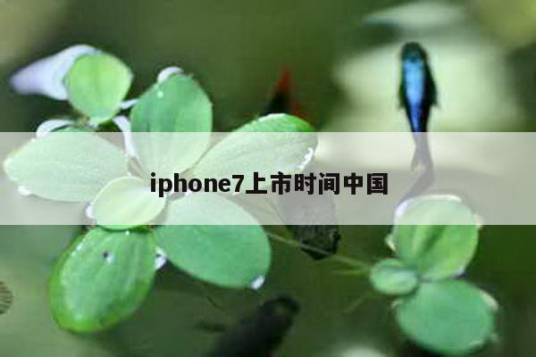 iphone7上市时间中国