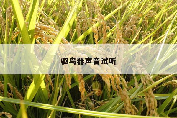 驱鸟器声音试听