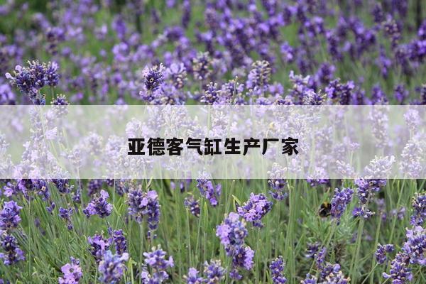 亚德客气缸生产厂家