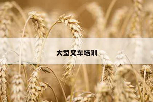 大型叉车培训
