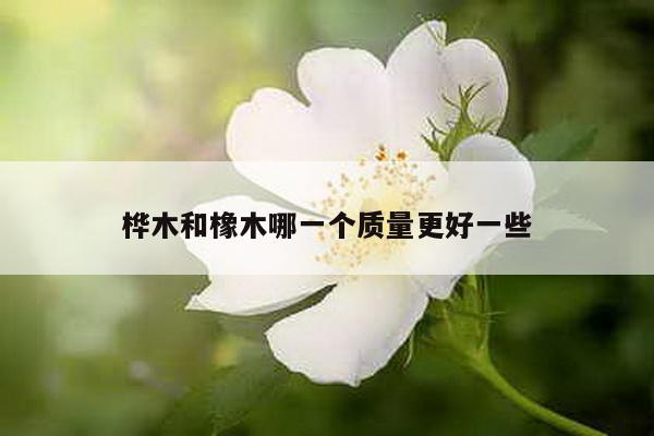 桦木和橡木哪一个质量更好一些