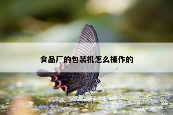 食品厂的包装机怎么操作的
