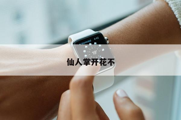 仙人掌开花不