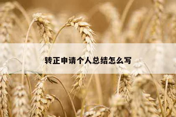 转正申请个人总结怎么写