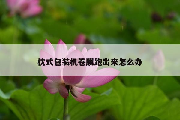 枕式包装机卷膜跑出来怎么办