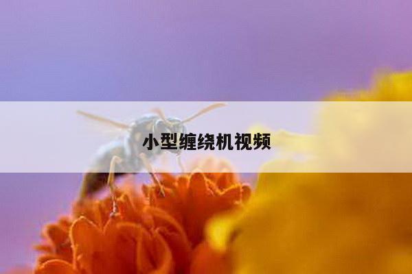 小型缠绕机视频