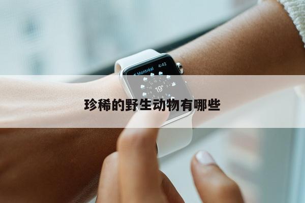 珍稀的野生动物有哪些