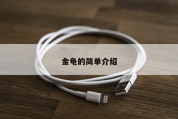 金龟的简单介绍