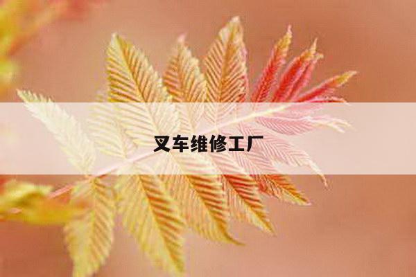 叉车维修工厂