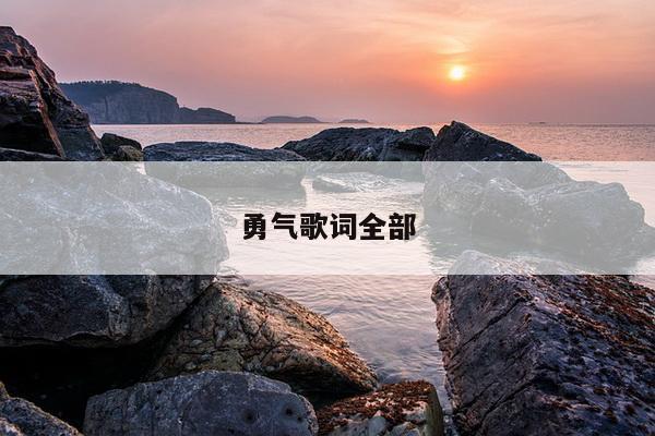 勇气歌词全部
