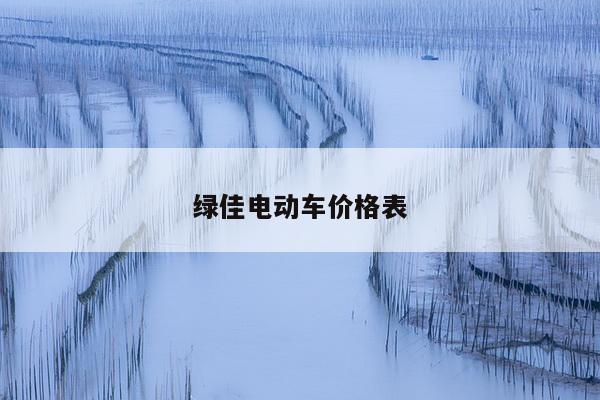 绿佳电动车价格表