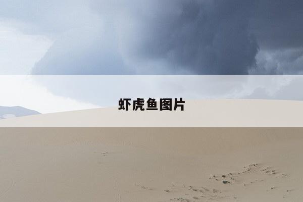 虾虎鱼图片