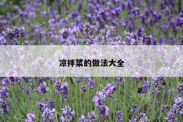 凉拌菜的做法大全
