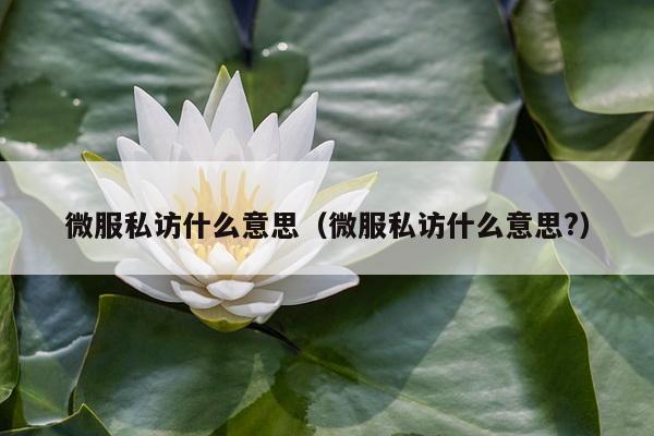 微服私访什么意思（微服私访什么意思?）