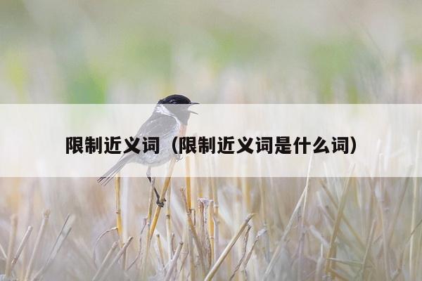 限制近义词（限制近义词是什么词）