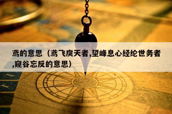 鸢的意思（鸢飞戾天者,望峰息心经纶世务者,窥谷忘反的意思）
