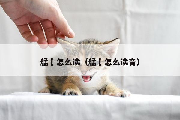 艋舺怎么读（艋舺怎么读音）