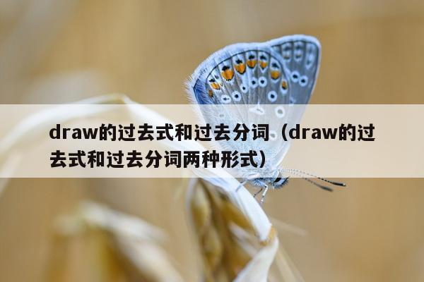 draw的过去式图片