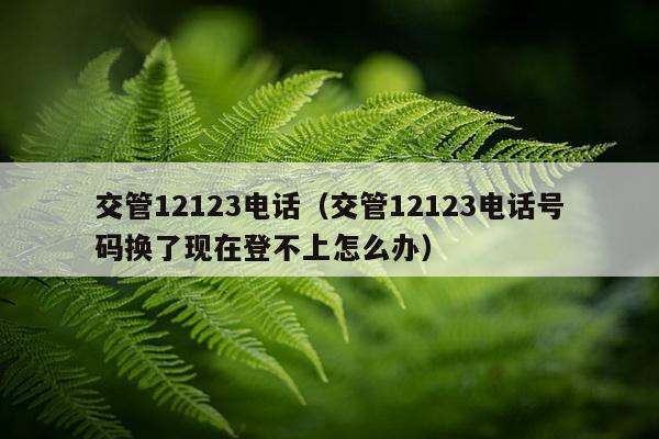 交管12123电话（交管12123电话号码换了现在登不上怎么办）