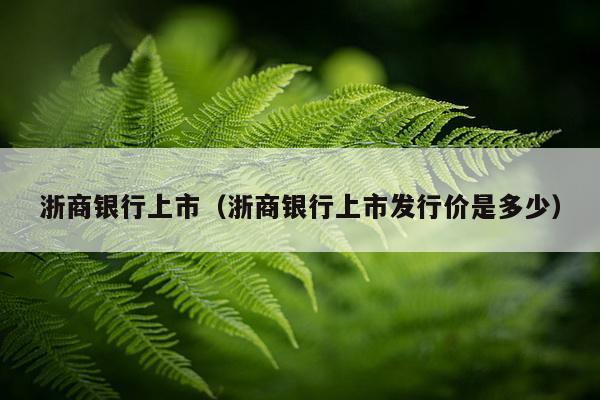 浙商银行上市（浙商银行上市发行价是多少）