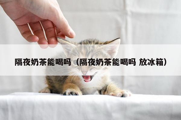 隔夜奶茶能喝吗（隔夜奶茶能喝吗 放冰箱）