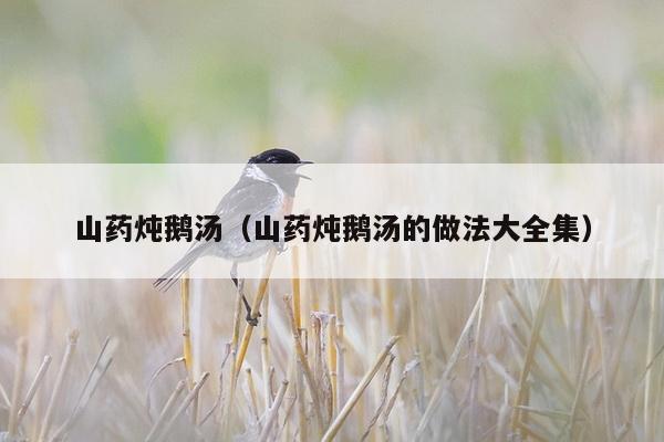 山药炖鹅汤（山药炖鹅汤的做法大全集）