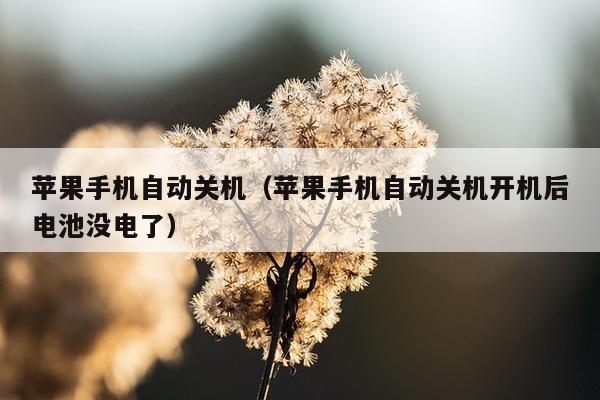 苹果手机自动关机（苹果手机自动关机开机后电池没电了）