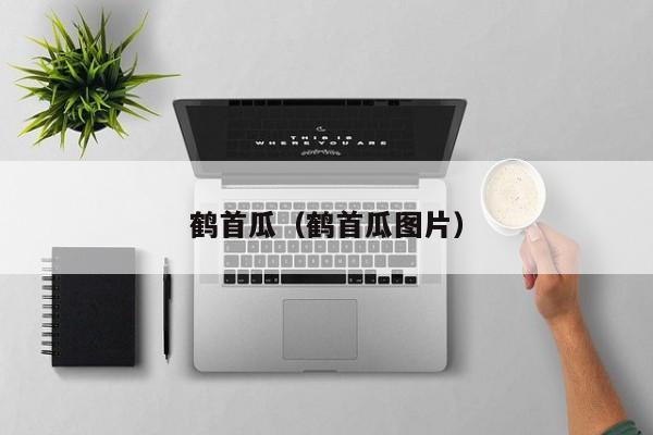 鹤首瓜（鹤首瓜图片）