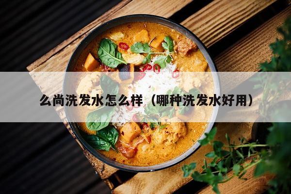 么尚洗发水怎么样（哪种洗发水好用）