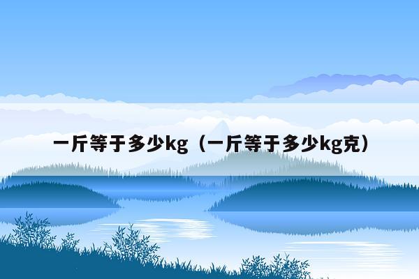 一斤等于多少kg（一斤等于多少kg克）