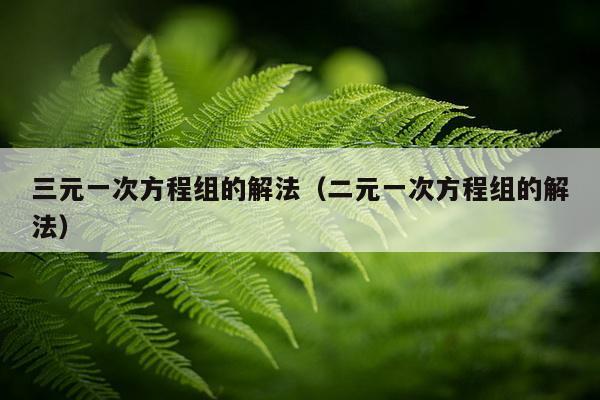 三元一次方程组的解法（二元一次方程组的解法）