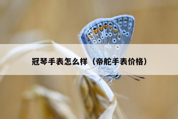 冠琴手表怎么样（帝舵手表价格）