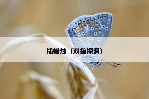 插蜡烛（双指探洞）