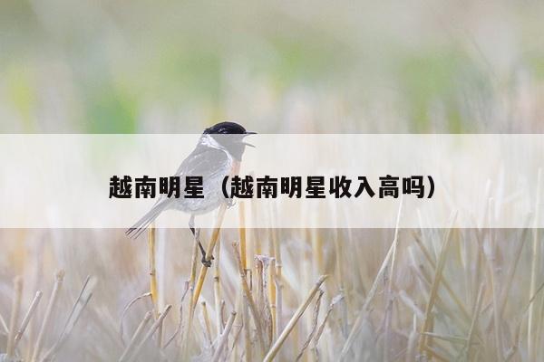 越南明星（越南明星收入高吗）